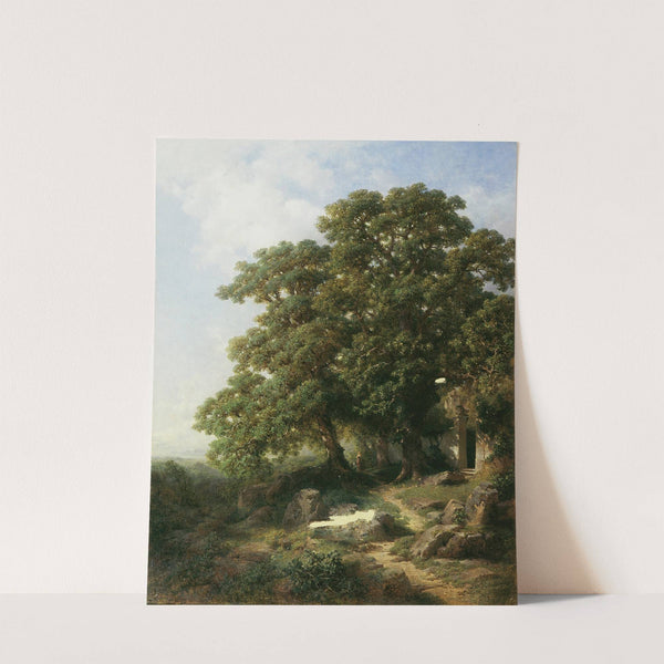 Kastanien in Südtirol by Gottfried Seelos