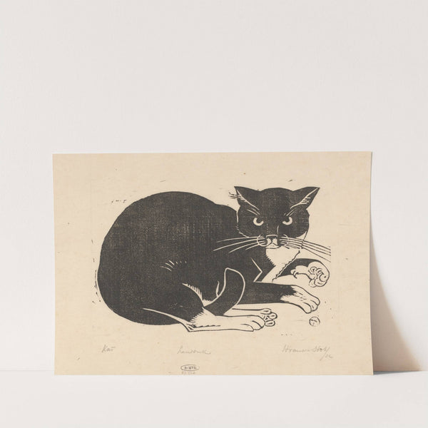 Kat (1880 - 1946) by Henri van der Stok