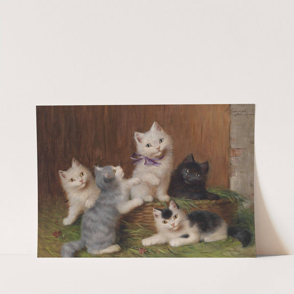 Katzenkinder by Sophie Sperlich