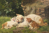 Katzenmutter mit ihren beiden Jungen