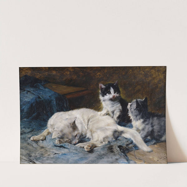 Katzenmutter mit zwei Kätzchen by Julius Anton Adam