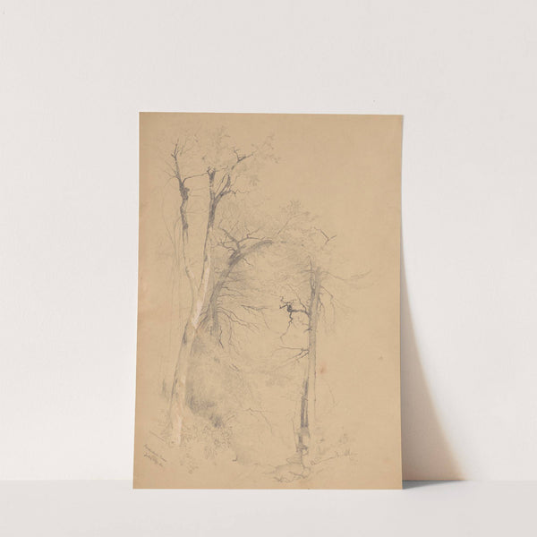 Kauterskill Clove by Jervis McEntee