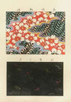 Shin zuan, Pl 10