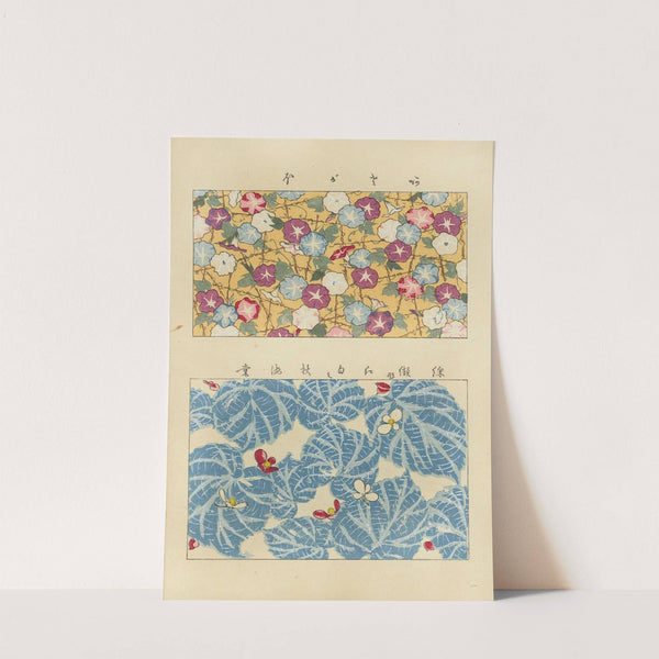 Shin zuan, Pl 4 by Nakayasu Shinzaburō