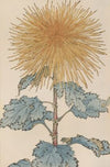 Keika hyakugiku, Pl.10 (1893)