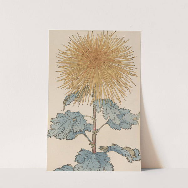 Keika hyakugiku, Pl.10 (1893) by Keika Hasegawa