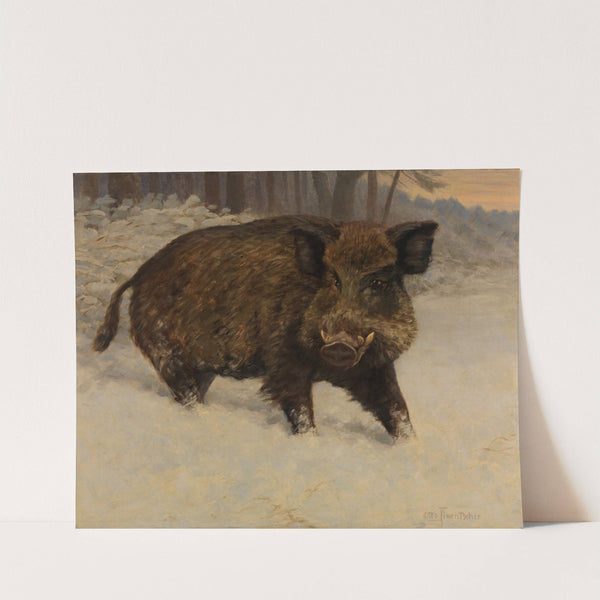 Keiler im Schnee by Otto Fikentscher