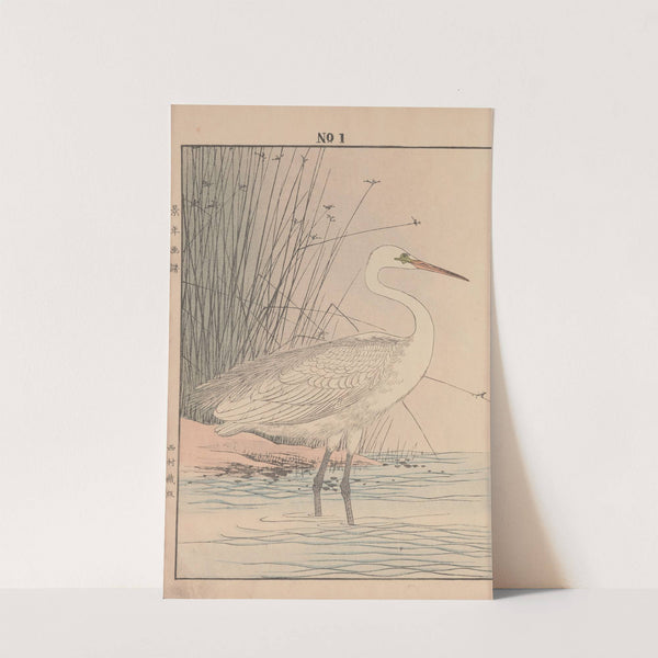 Keinen kachō gafu Pl.001 (1891) by Imao Keinen