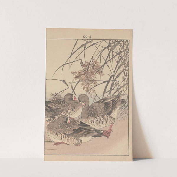 Keinen kachō gafu Pl.004 (1891) by Imao Keinen