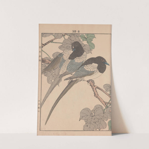 Keinen kachō gafu Pl.007 (1891) by Imao Keinen