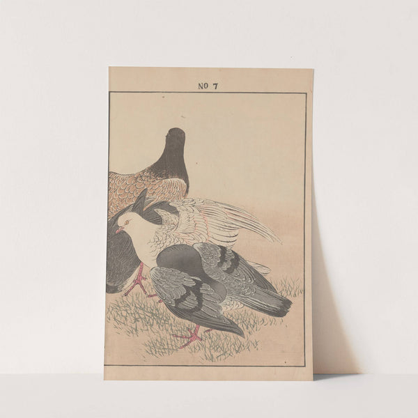 Keinen kachō gafu Pl.008 (1891) by Imao Keinen