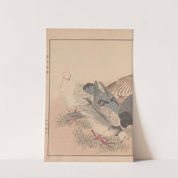 Keinen kachō gafu Pl.009 (1891) by Imao Keinen