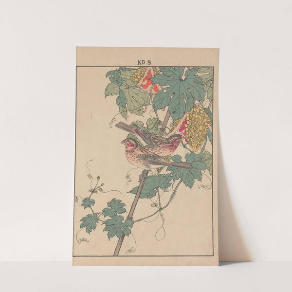 Keinen kachō gafu Pl.010 (1891) by Imao Keinen