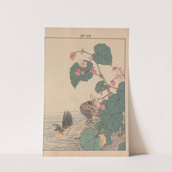 Keinen kachō gafu Pl.012 (1891) by Imao Keinen