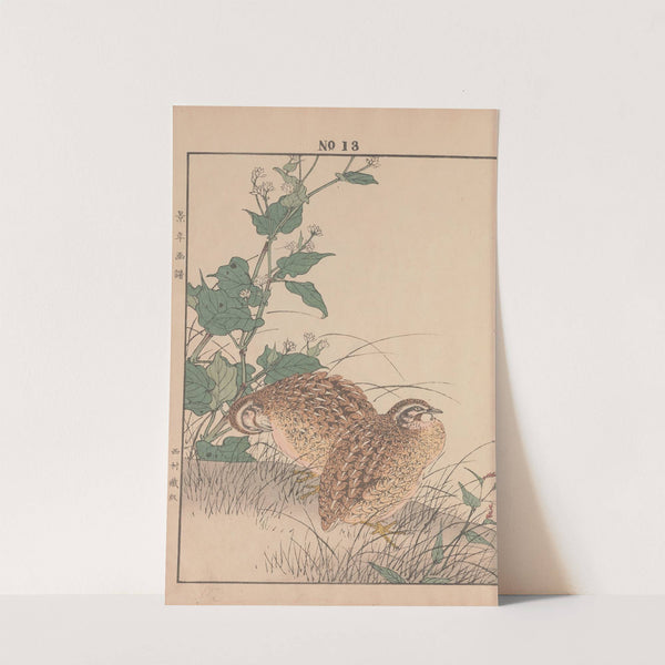 Keinen kachō gafu Pl.015 (1891) by Imao Keinen