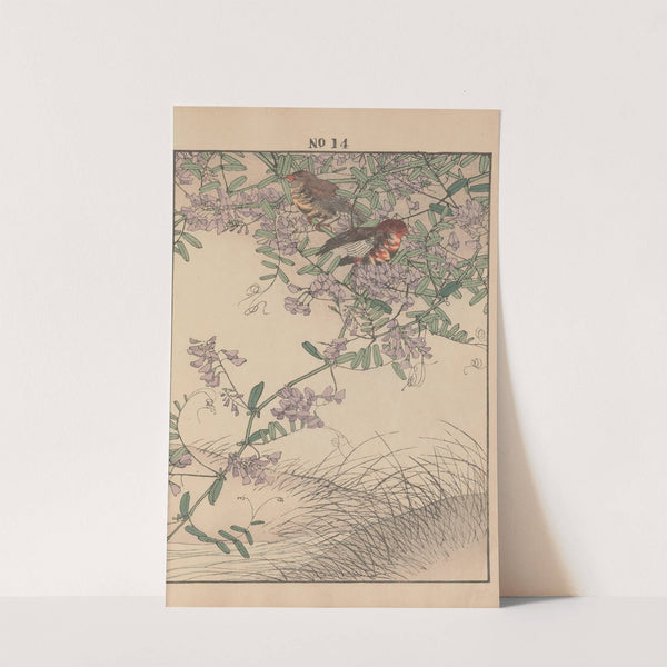 Keinen kachō gafu Pl.016 (1891) by Imao Keinen