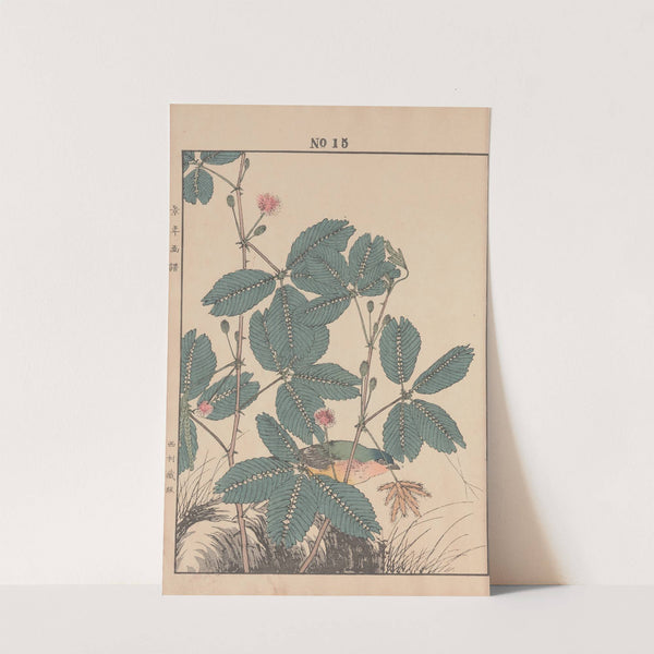 Keinen kachō gafu Pl.017 (1891) by Imao Keinen