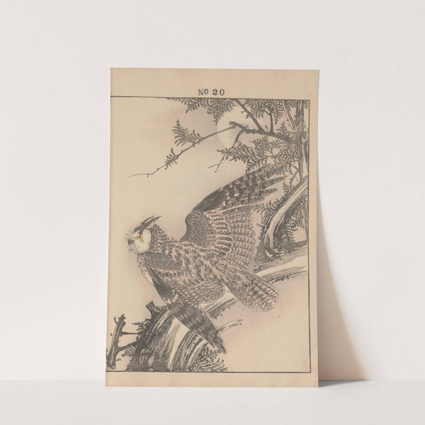 Keinen kachō gafu Pl.022 (1891) by Imao Keinen