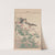 Keinen kachō gafu Pl.023 (1891) by Imao Keinen