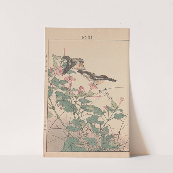 Keinen kachō gafu Pl.023 (1891) by Imao Keinen