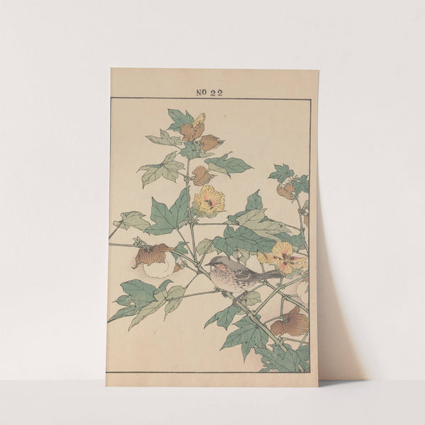 Keinen kachō gafu Pl.024 (1891) by Imao Keinen