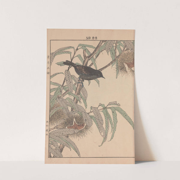 Keinen kachō gafu Pl.025 (1891) by Imao Keinen