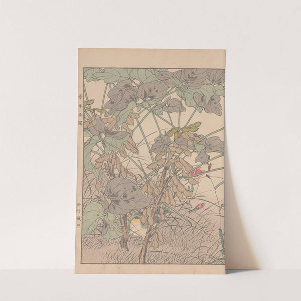 Keinen kachō gafu Pl.033 (1891) by Imao Keinen