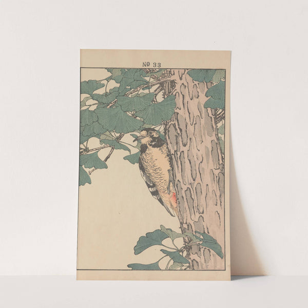 Keinen kachō gafu Pl.036 (1891) by Imao Keinen