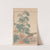 Keinen kachō gafu Pl.037 (1891) by Imao Keinen