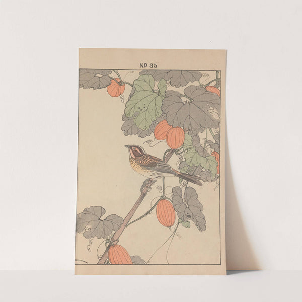 Keinen kachō gafu Pl.038 (1891) by Imao Keinen