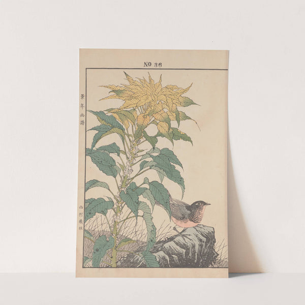 Keinen kachō gafu Pl.039 (1891) by Imao Keinen