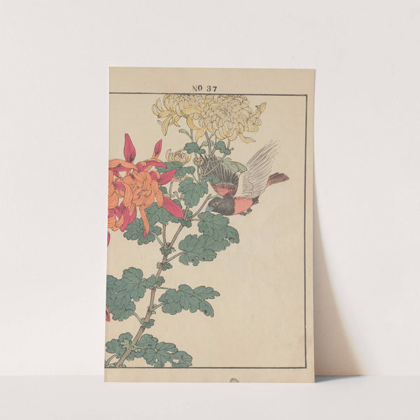 Keinen kachō gafu Pl.040 (1891) by Imao Keinen