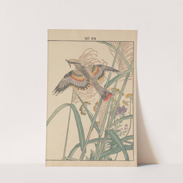 Keinen kachō gafu Pl.042 (1891) by Imao Keinen