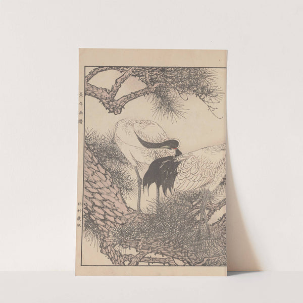 Keinen kachō gafu Pl.049 (1891) by Imao Keinen