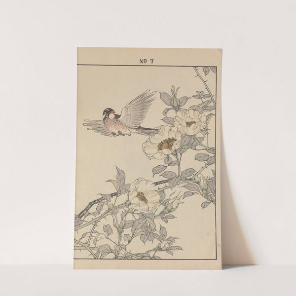 Keinen kachō gafu Pl.050 (1891) by Imao Keinen