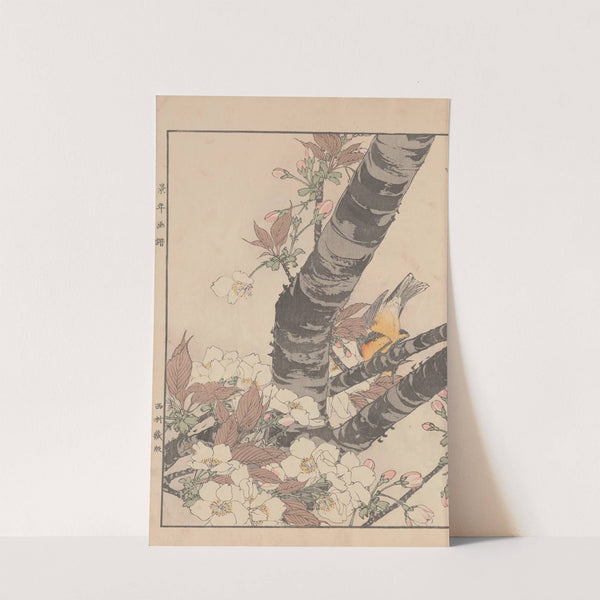 Keinen kachō gafu Pl.053 (1891) by Imao Keinen