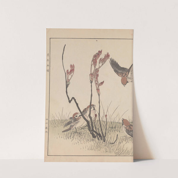 Keinen kachō gafu Pl.057 (1891) by Imao Keinen