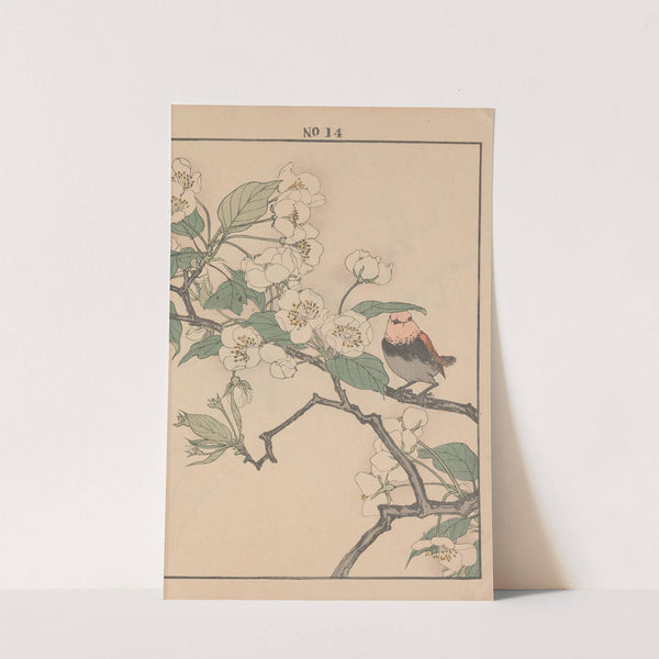 Keinen kachō gafu Pl.060 (1891) by Imao Keinen