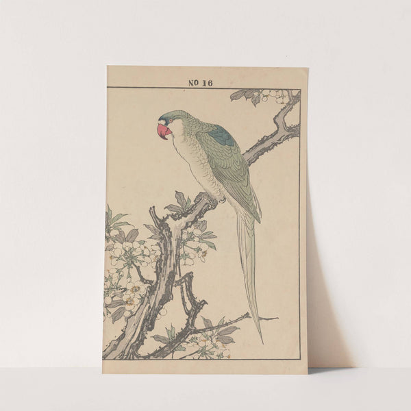 Keinen kachō gafu Pl.062 (1891) by Imao Keinen