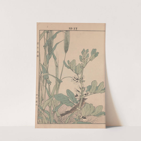 Keinen kachō gafu Pl.063 (1891) by Imao Keinen