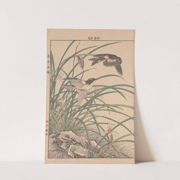 Keinen kachō gafu Pl.067 (1891) by Imao Keinen