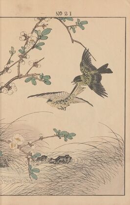Keinen kachō gafu Pl.068
