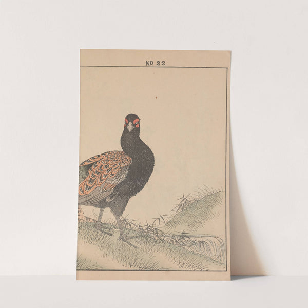 Keinen kachō gafu Pl.070 (1891) by Imao Keinen