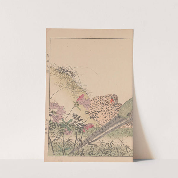 Keinen kachō gafu Pl.071 (1891) by Imao Keinen