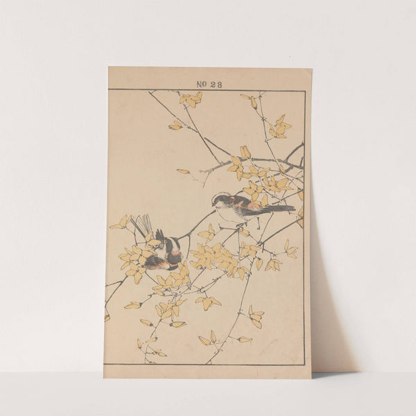 Keinen kachō gafu Pl.072 (1891) by Imao Keinen