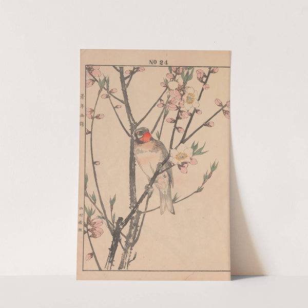 Keinen kachō gafu Pl.073 (1891) by Imao Keinen