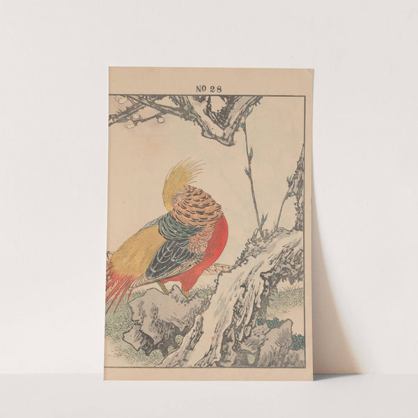 Keinen kachō gafu Pl.078 (1891) by Imao Keinen