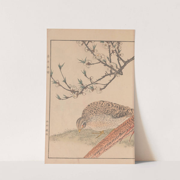 Keinen kachō gafu Pl.079 (1891) by Imao Keinen