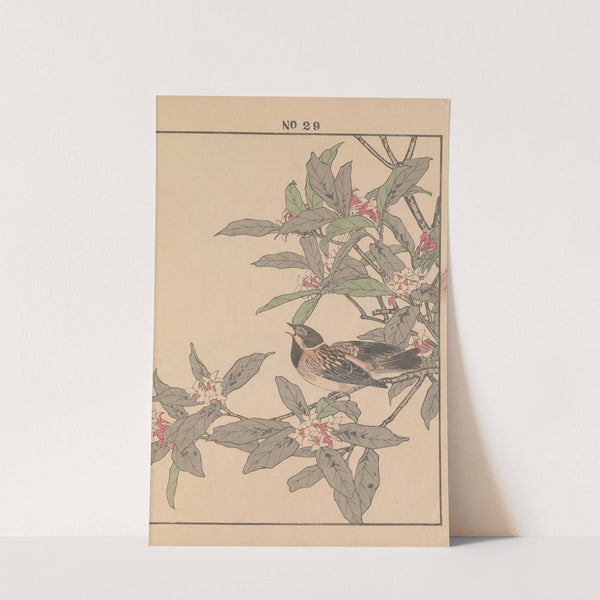 Keinen kachō gafu Pl.080 (1891) by Imao Keinen