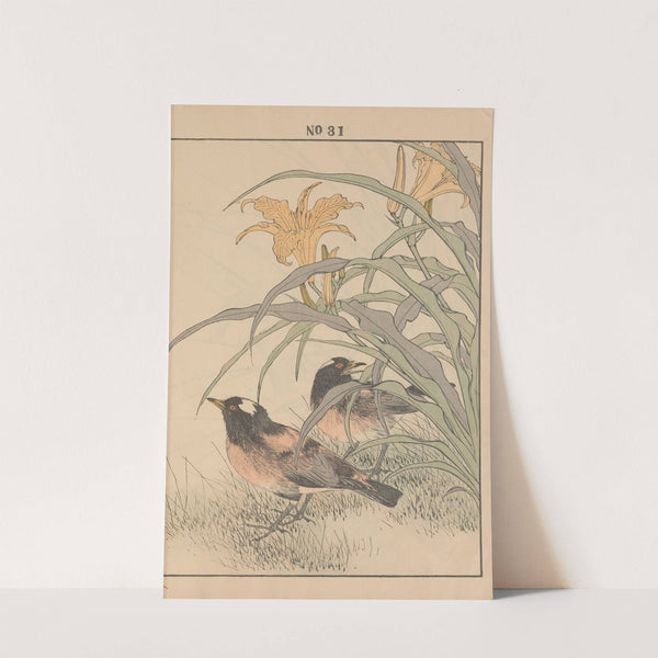 Keinen kachō gafu Pl.082 (1891) by Imao Keinen